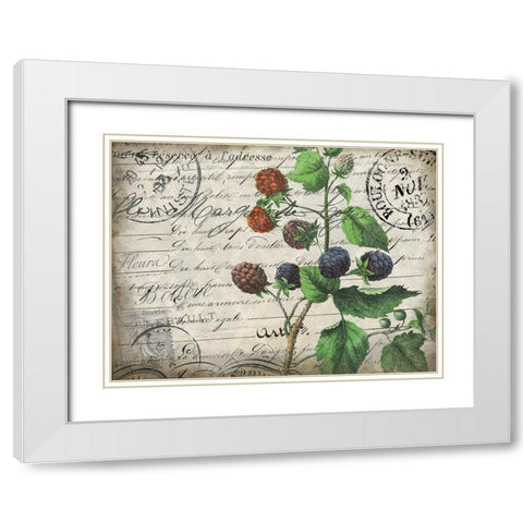 Vintage Blackberries White Modern Wood Framed Art Print with Double Matting by Kimberly, Allen