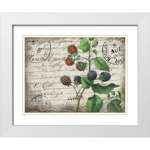 Vintage Blackberries White Modern Wood Framed Art Print with Double Matting by Kimberly, Allen