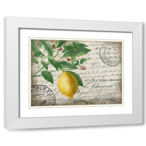 Vintage Lemon White Modern Wood Framed Art Print with Double Matting by Kimberly, Allen