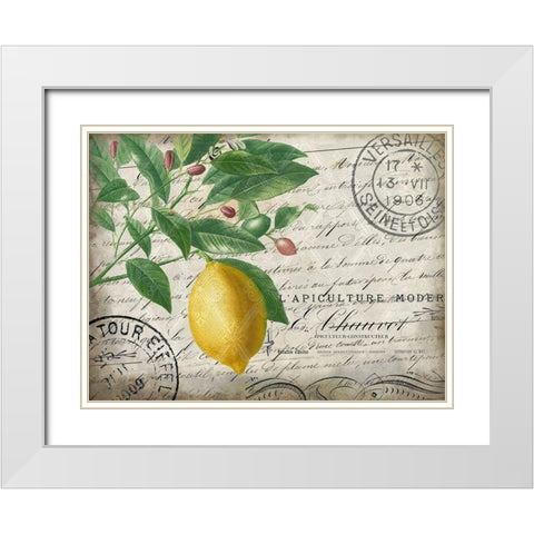 Vintage Lemon White Modern Wood Framed Art Print with Double Matting by Kimberly, Allen