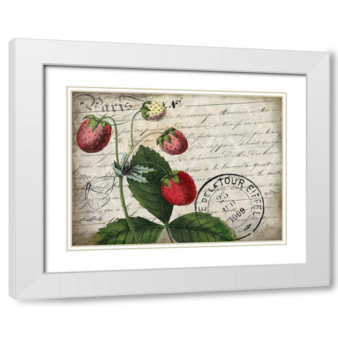 Vintage Strawberry White Modern Wood Framed Art Print with Double Matting by Kimberly, Allen