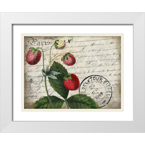 Vintage Strawberry White Modern Wood Framed Art Print with Double Matting by Kimberly, Allen