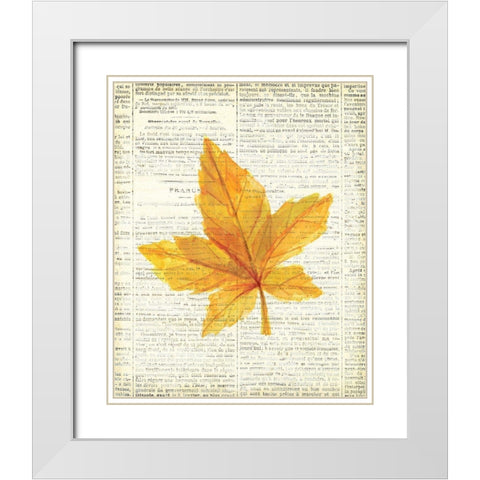 In the Fall 1  White Modern Wood Framed Art Print with Double Matting by Kimberly, Allen