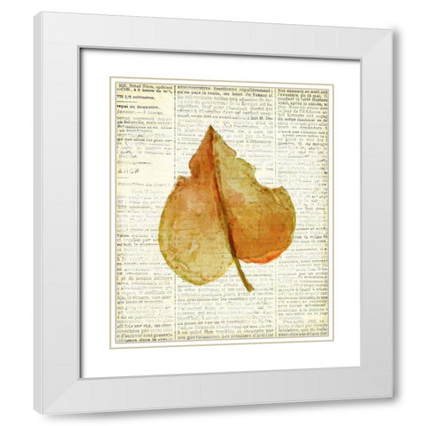 In the Fall 3  White Modern Wood Framed Art Print with Double Matting by Kimberly, Allen