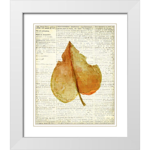 In the Fall 3  White Modern Wood Framed Art Print with Double Matting by Kimberly, Allen