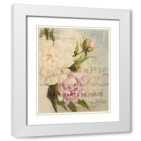 Summer Blooming Series B White Modern Wood Framed Art Print with Double Matting by Kimberly, Allen