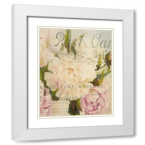 Summer Blooming Series C White Modern Wood Framed Art Print with Double Matting by Kimberly, Allen