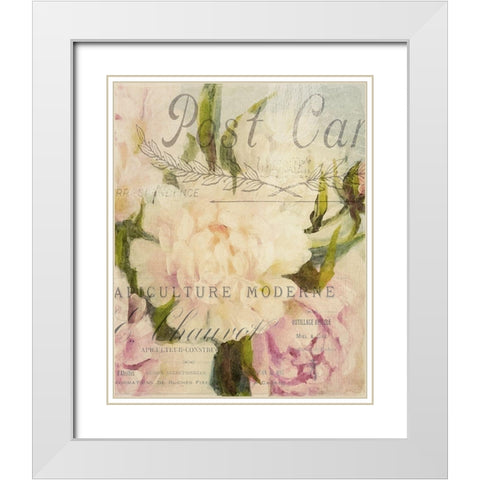 Summer Blooming Series C White Modern Wood Framed Art Print with Double Matting by Kimberly, Allen