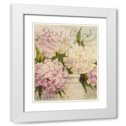 Summer Blooming Series D White Modern Wood Framed Art Print with Double Matting by Kimberly, Allen