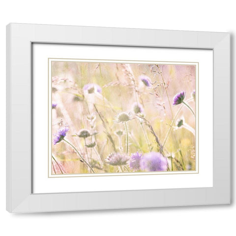 Hazy Afternoon Sun 2 White Modern Wood Framed Art Print with Double Matting by Kimberly, Allen