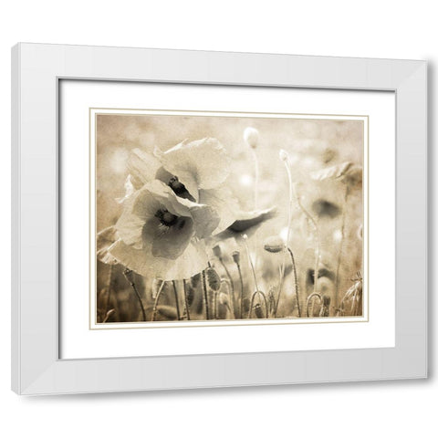 Vintage Poppy 2 White Modern Wood Framed Art Print with Double Matting by Kimberly, Allen