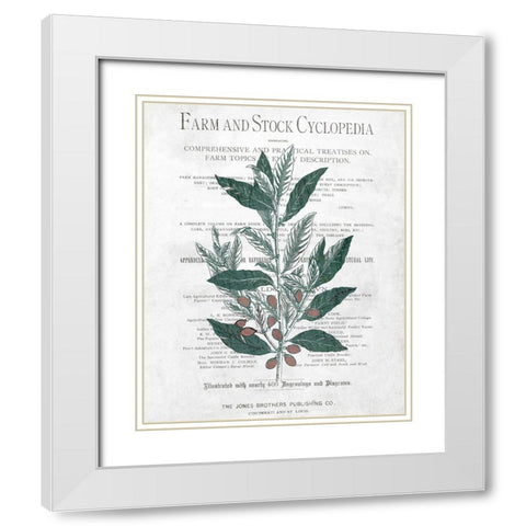 Botanical 1 White Modern Wood Framed Art Print with Double Matting by Kimberly, Allen