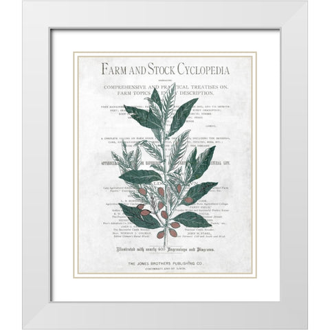 Botanical 1 White Modern Wood Framed Art Print with Double Matting by Kimberly, Allen