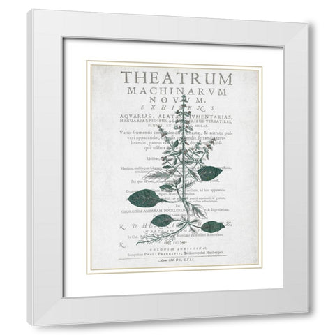 Botanical 2 White Modern Wood Framed Art Print with Double Matting by Kimberly, Allen