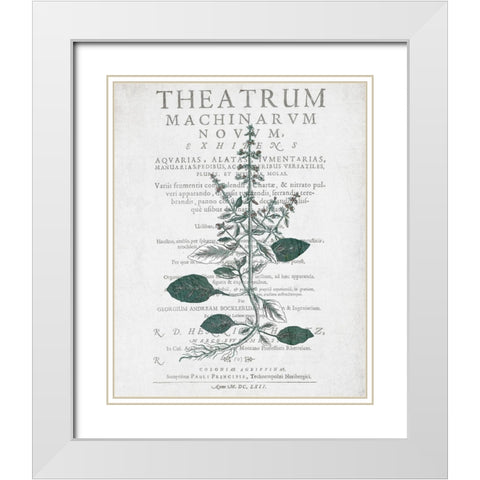 Botanical 2 White Modern Wood Framed Art Print with Double Matting by Kimberly, Allen