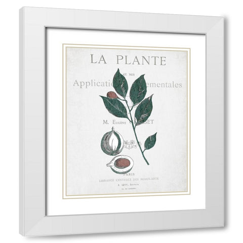 Botanical 3 White Modern Wood Framed Art Print with Double Matting by Kimberly, Allen