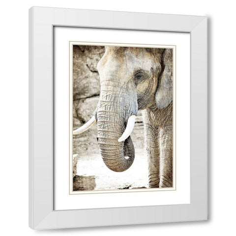 Ageless White Modern Wood Framed Art Print with Double Matting by Kimberly, Allen