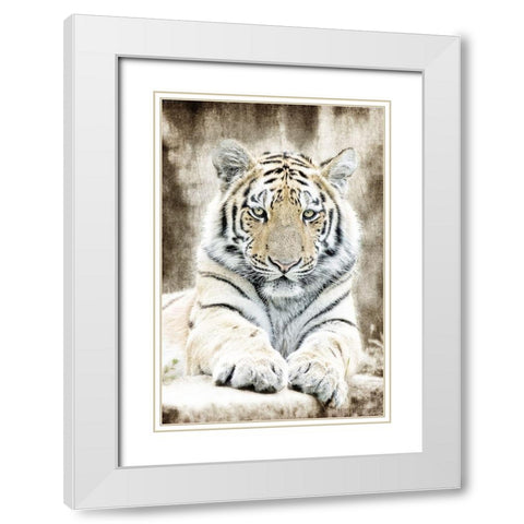 Concentration White Modern Wood Framed Art Print with Double Matting by Kimberly, Allen