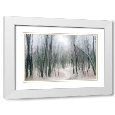Shrouded Forest 1 White Modern Wood Framed Art Print with Double Matting by Allen, Kimberly