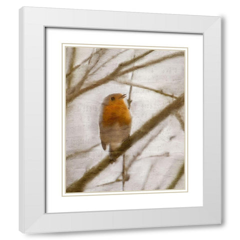 Bird on a Branch 1 White Modern Wood Framed Art Print with Double Matting by Kimberly, Allen