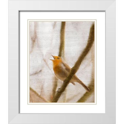 Bird on a Branch 2 White Modern Wood Framed Art Print with Double Matting by Kimberly, Allen