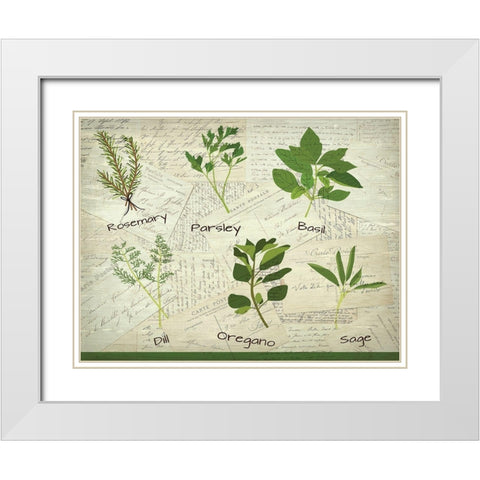 Fresh Herbs White Modern Wood Framed Art Print with Double Matting by Kimberly, Allen