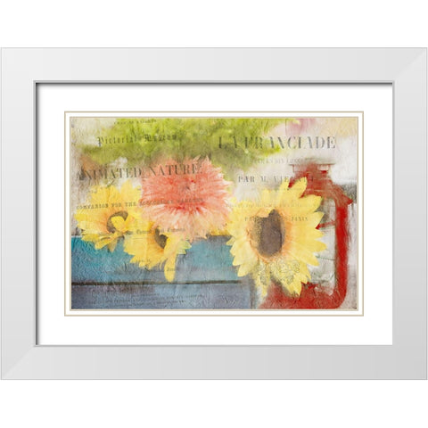 Day in the Garden White Modern Wood Framed Art Print with Double Matting by Kimberly, Allen