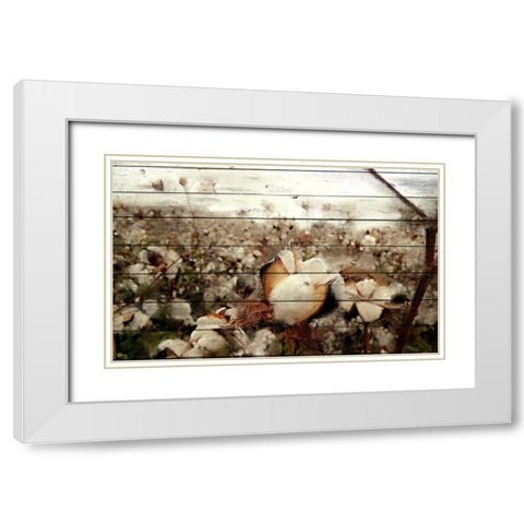 Cotton Field 1 White Modern Wood Framed Art Print with Double Matting by Kimberly, Allen