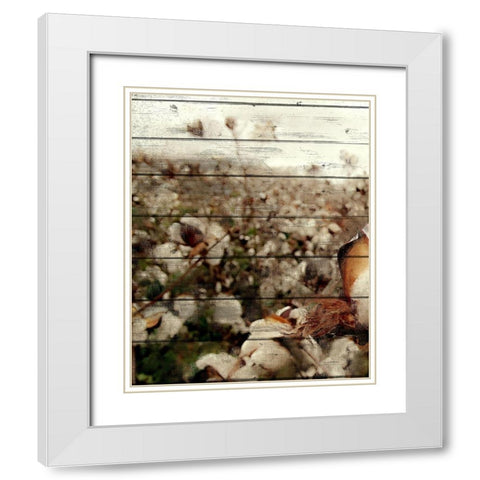 Cotton Field 2 White Modern Wood Framed Art Print with Double Matting by Kimberly, Allen