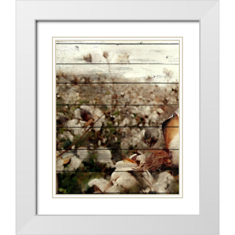 Cotton Field 2 White Modern Wood Framed Art Print with Double Matting by Kimberly, Allen