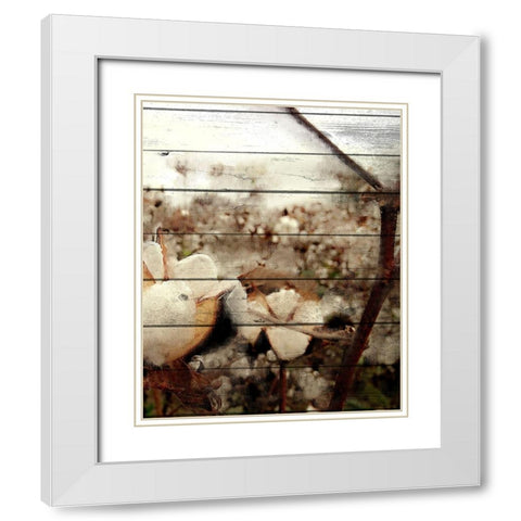 Cotton Field 3 White Modern Wood Framed Art Print with Double Matting by Kimberly, Allen