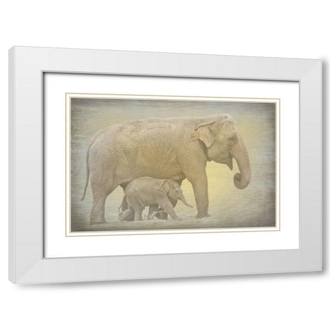 Side by Side White Modern Wood Framed Art Print with Double Matting by Kimberly, Allen