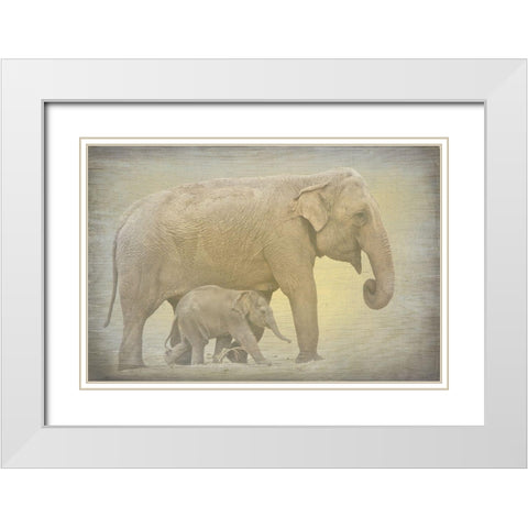 Side by Side White Modern Wood Framed Art Print with Double Matting by Kimberly, Allen