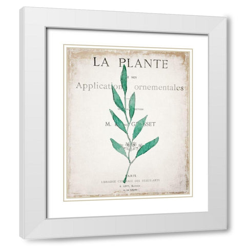 Botanical Pages 1 White Modern Wood Framed Art Print with Double Matting by Kimberly, Allen