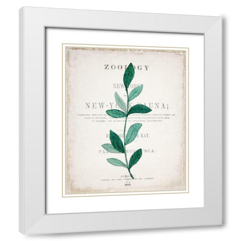 Botanical Pages 2 White Modern Wood Framed Art Print with Double Matting by Kimberly, Allen