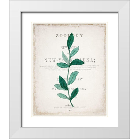 Botanical Pages 2 White Modern Wood Framed Art Print with Double Matting by Kimberly, Allen