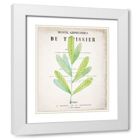 Botanical Pages 3 White Modern Wood Framed Art Print with Double Matting by Kimberly, Allen