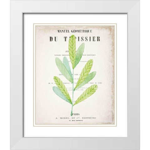 Botanical Pages 3 White Modern Wood Framed Art Print with Double Matting by Kimberly, Allen