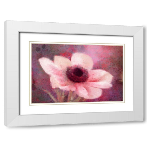 Blooming Pink White Modern Wood Framed Art Print with Double Matting by Kimberly, Allen