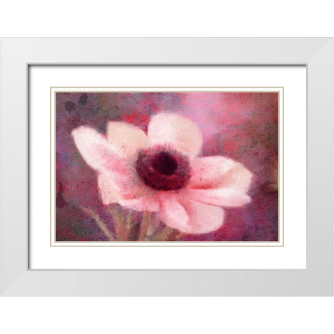 Blooming Pink White Modern Wood Framed Art Print with Double Matting by Kimberly, Allen