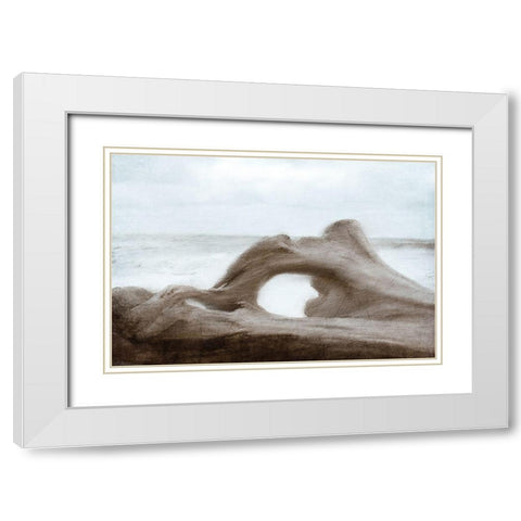 Driftwood Beach White Modern Wood Framed Art Print with Double Matting by Kimberly, Allen