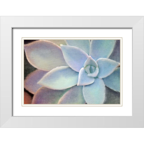 Softly White Modern Wood Framed Art Print with Double Matting by Allen, Kimberly