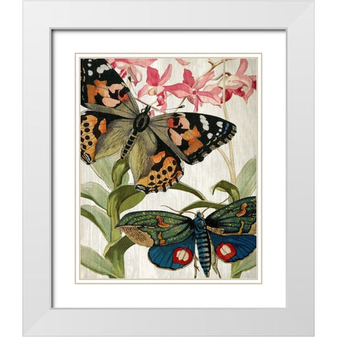 Butterfly World 1 White Modern Wood Framed Art Print with Double Matting by Kimberly, Allen