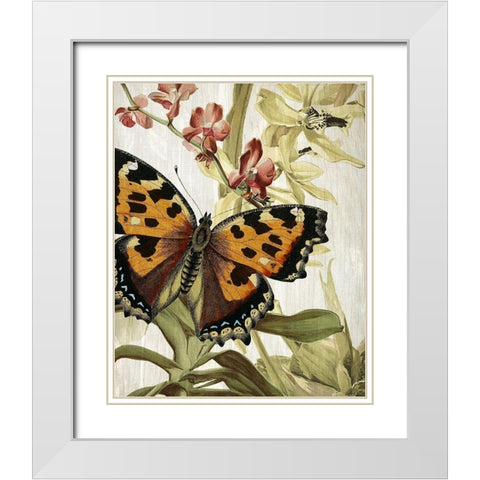Butterfly World 2 White Modern Wood Framed Art Print with Double Matting by Kimberly, Allen