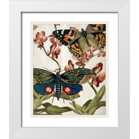 Butterfly World 3 White Modern Wood Framed Art Print with Double Matting by Kimberly, Allen