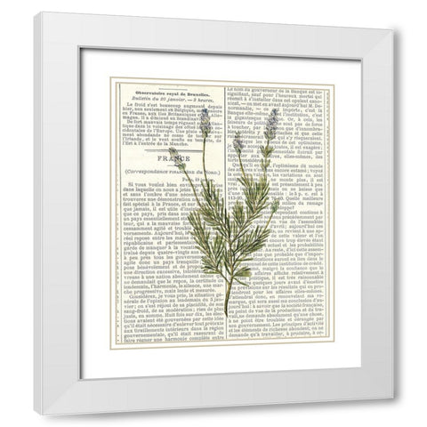 Fresh Herbs 4 White Modern Wood Framed Art Print with Double Matting by Allen, Kimberly
