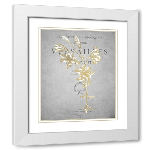 Gold Botanicals 1 White Modern Wood Framed Art Print with Double Matting by Kimberly, Allen