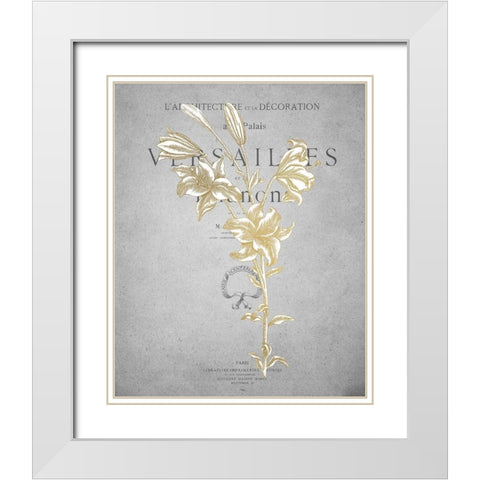 Gold Botanicals 1 White Modern Wood Framed Art Print with Double Matting by Kimberly, Allen