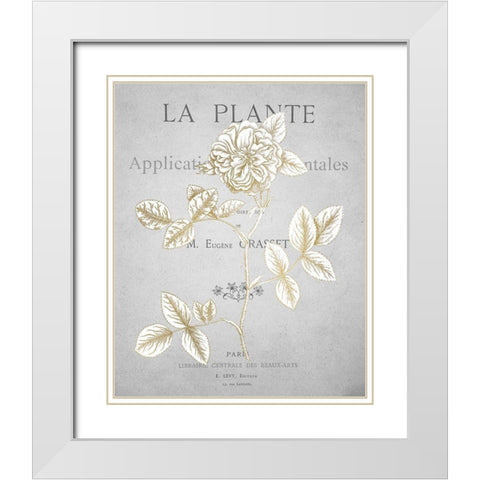 Gold Botanicals 3 White Modern Wood Framed Art Print with Double Matting by Kimberly, Allen