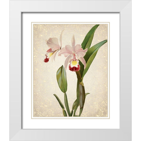 Orchids  2 White Modern Wood Framed Art Print with Double Matting by Kimberly, Allen